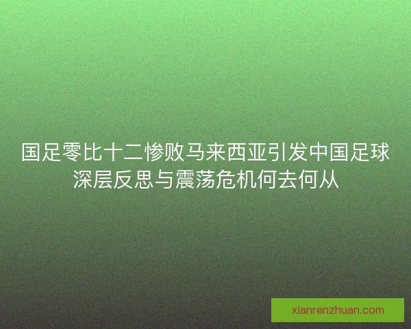 国足零比十二惨败马来西亚引发中国足球深层反思与震荡危机何去何从