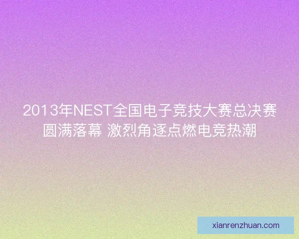 2013年NEST全国电子竞技大赛总决赛圆满落幕 激烈角逐点燃电竞热潮